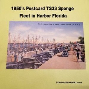 1950's Postcard TS33 Sponge Fleet in Harbor Florida
